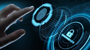 Read more about the article Who carries the burden? Labour fragmentation and digital safety