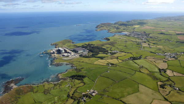 You are currently viewing WSP and Mott MacDonald appointed for Wylfa environmental services 