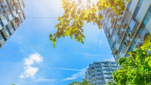 Read more about the article ‘I’m scoring construction 5 out of 10 on sustainability’