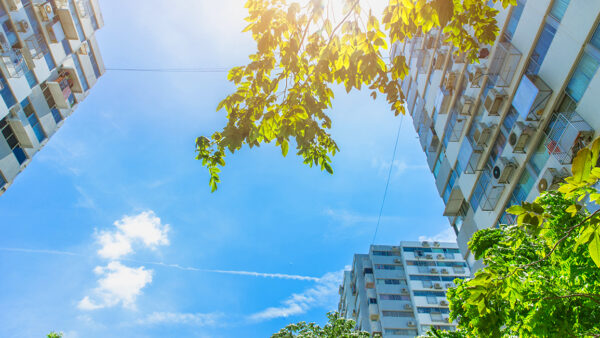 Read more about the article ‘I’m scoring construction 5 out of 10 on sustainability’