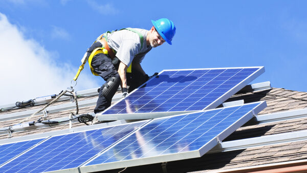 You are currently viewing Why addressing the green skills shortage is key to meeting net-zero targets