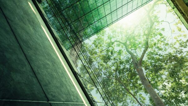 Read more about the article CITB fund supports employer-led net-zero skills projects